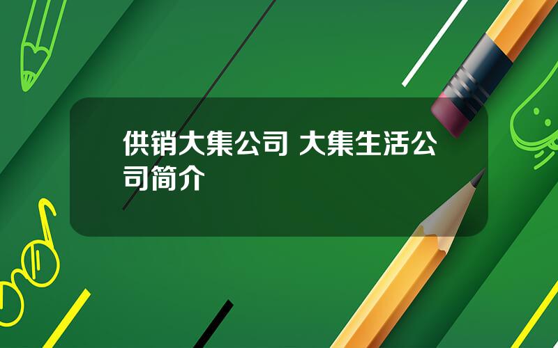 供销大集公司 大集生活公司简介